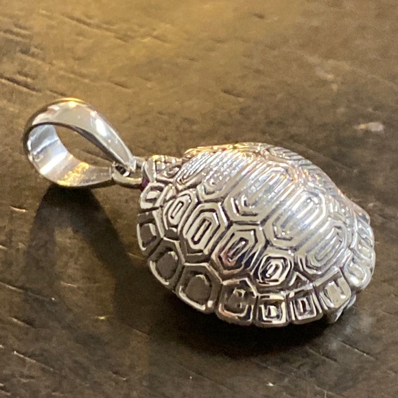unbranded Jewelry - Steroids g silver Turtle pendant back opens